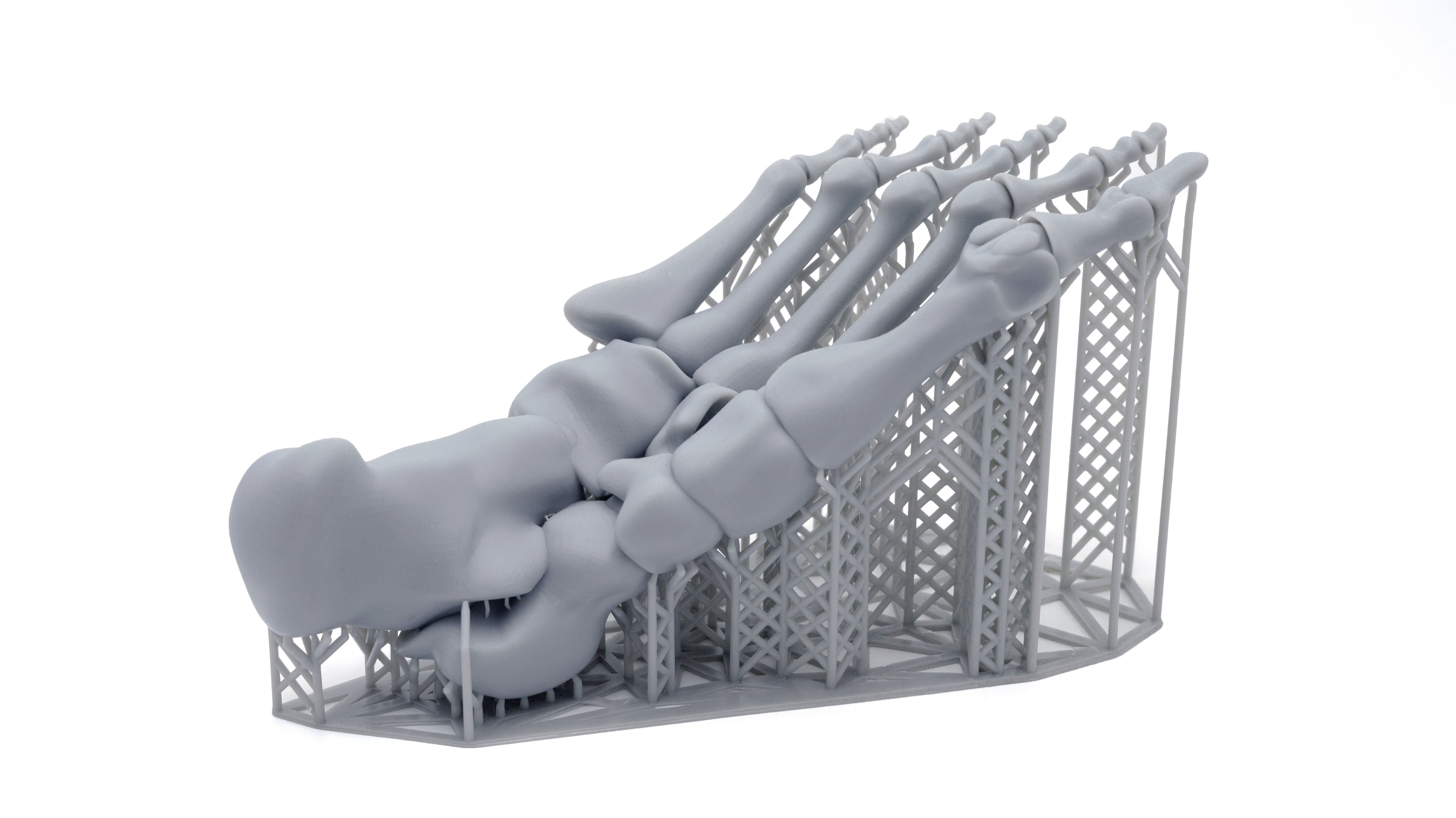 Enhancing Your 3D Printing Experience with Siraya Tech Easy Plant-Based Resin and Anycubic Photon Mono M3 Premium
