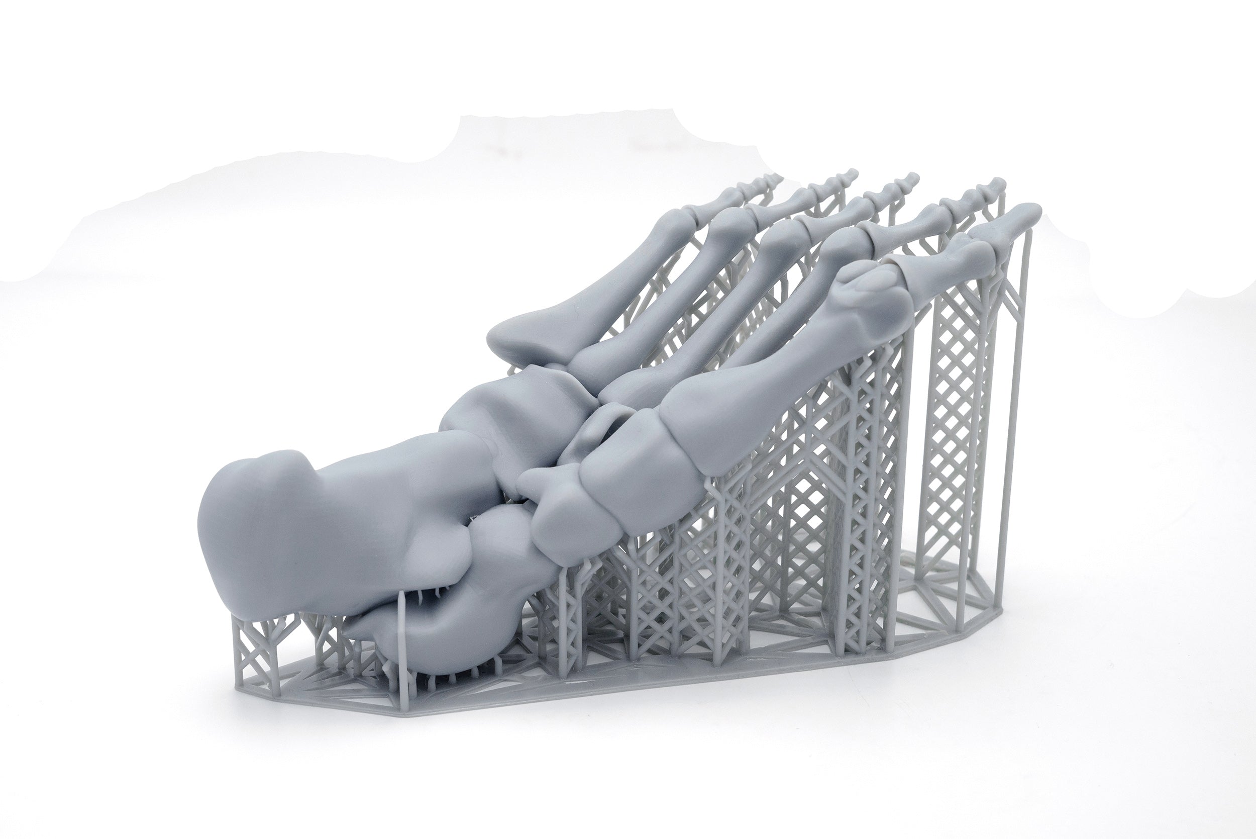 Bone fingers 3D print